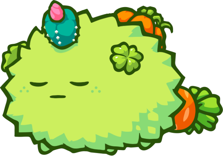 plant