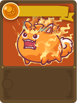 shiba